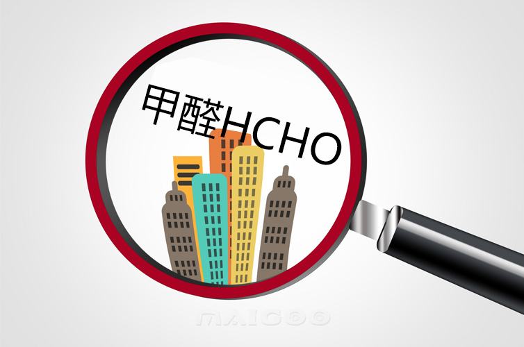 甲醛榴莲视频WWW在线观看