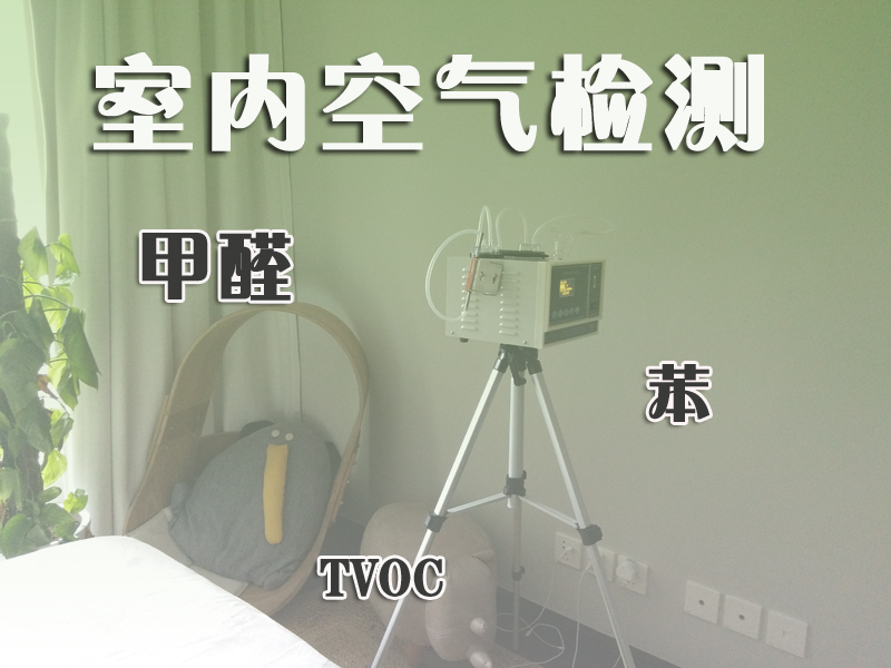 甲醛的榴莲视频WWW在线观看